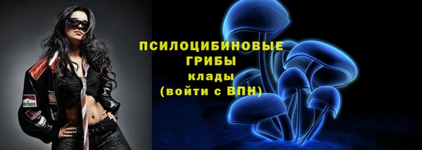 эйфоретик Алексин