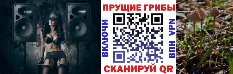 mega ONION  Боровск  Галлюциногенные грибы ЛСД 